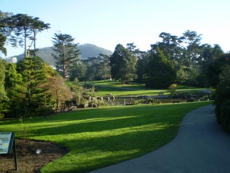 Image of a sidewalk in Golden Gate Park with grass and trees along the pathway