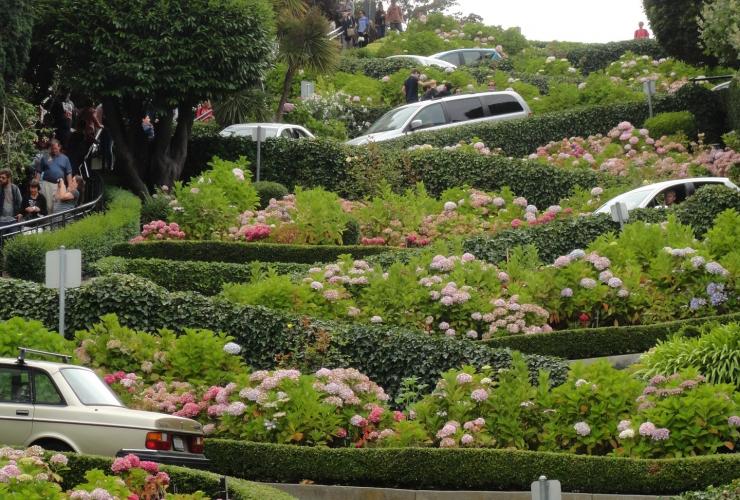 Picture of lombard street san francisco with hairpin turns greenery and cars