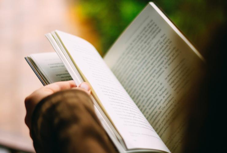 person holding a book reading