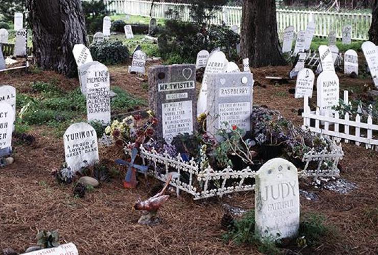 Pet cemetery gravestones old